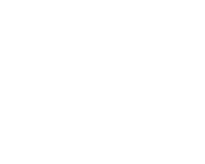 Rhino Fze